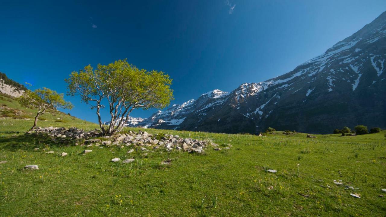 O Chardinet D'A Formiga Pension Aínsa Buitenkant foto